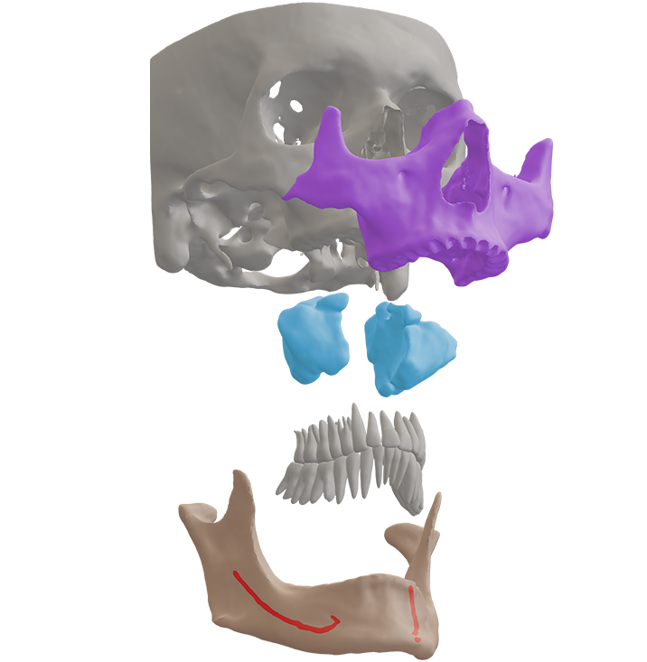 intelligenza artificiale odontoiatria